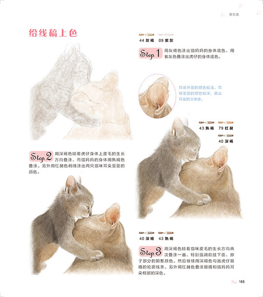    1p163 p166 3