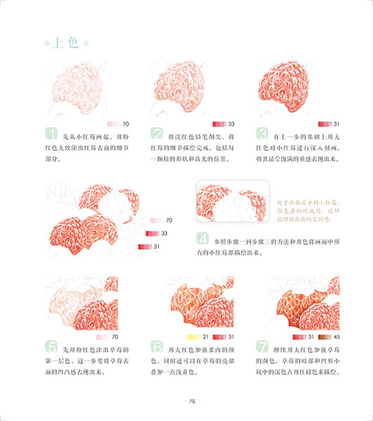 P73 p77 3
