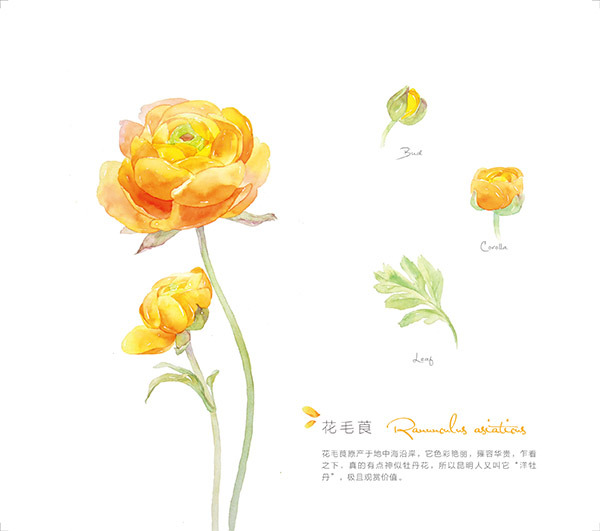 04 1   