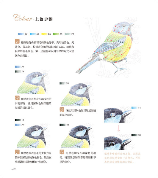 P128 p133 3   