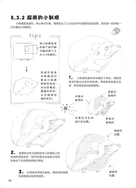 78 80 1