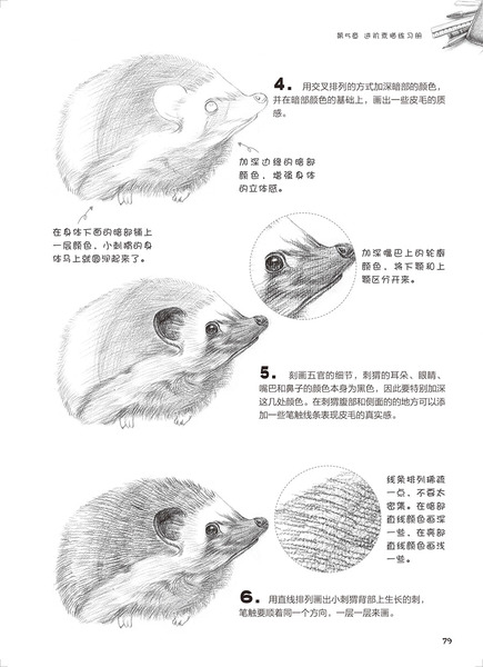 78 80 2