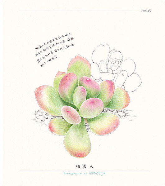Plant8 1