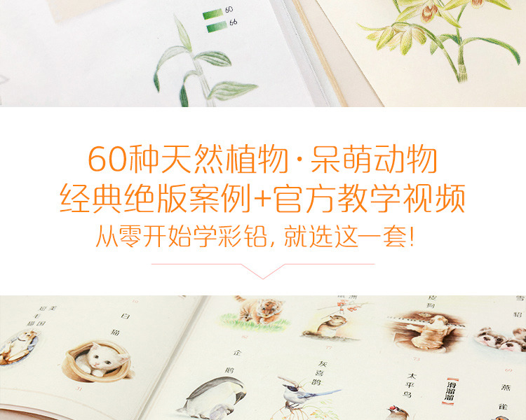                750px         14