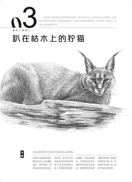 03 1   