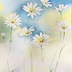 Cube       2016.4.17