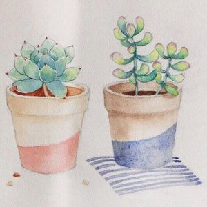 Cube       2016.4.18