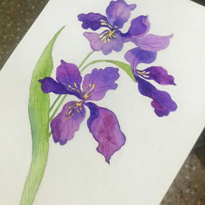 Cube       2016.4.23